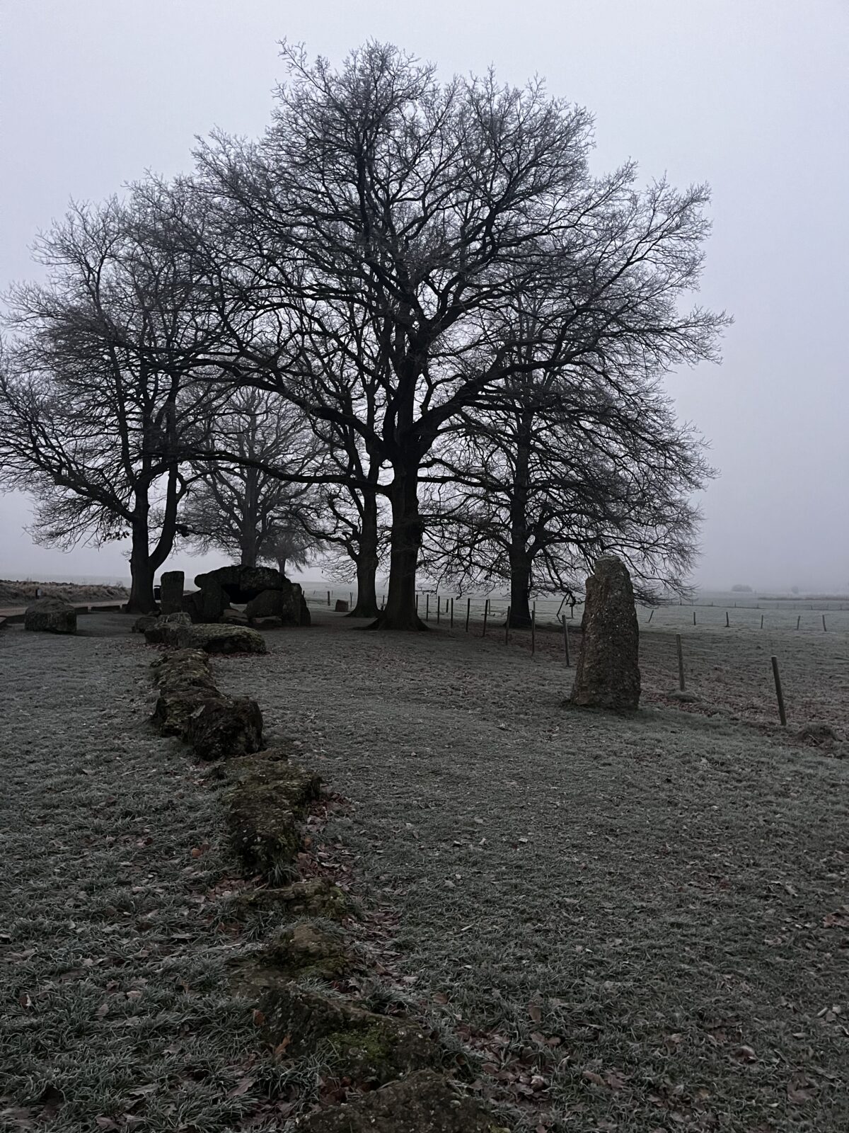 Mijmeringen in de vallei van Wiederik